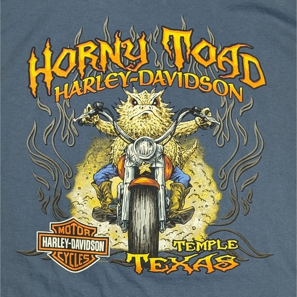 Harley Davidson Horny Toad Temple Texas Long Sleeve T-Shirt Blue XL 23x28 2-side - Picture 8 of 8